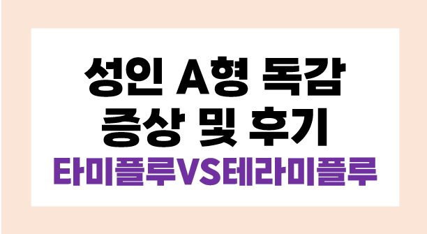 성인 A형 독감 증상 후기 타미플루VS테라미플루 뭐가 좋을까