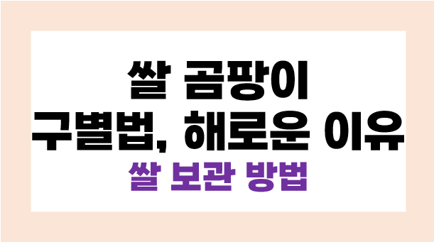 쌀 곰팡이 구별법, 쌀 곰팡이가 해로운 이유, 쌀 보관 방법