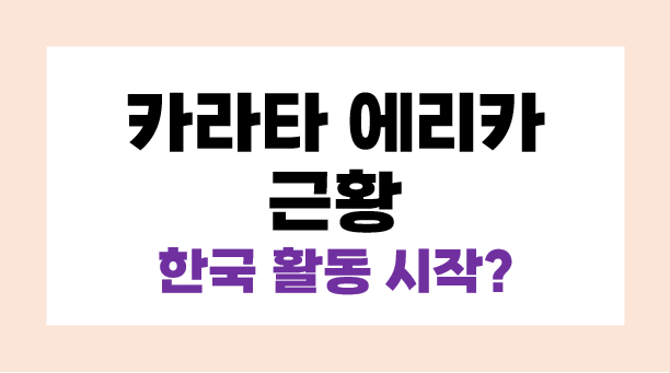 카라타 에리카 근황 한국 활동 시작 일본에서의 평가는?