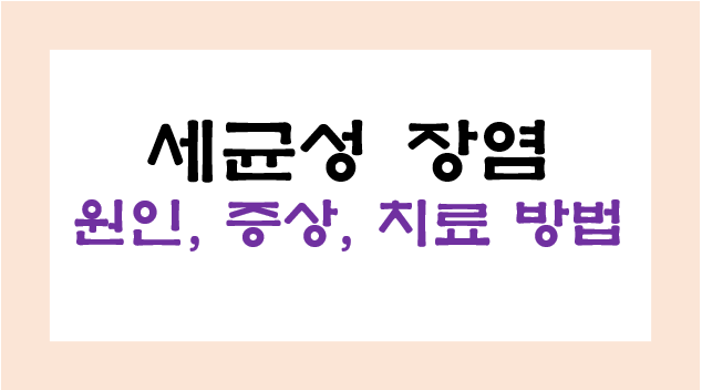 세균성 장염