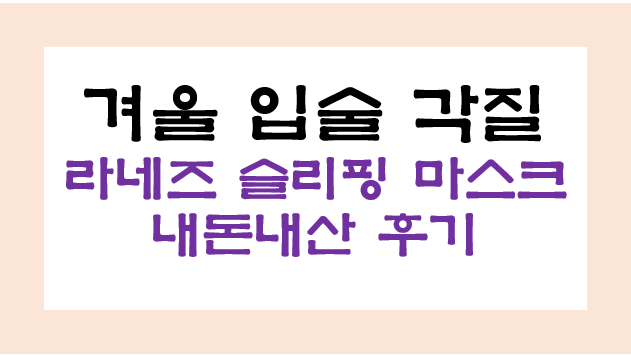 겨울 입술 건조 입술 각질 관리방법 – 라네즈 립 슬리핑 마스크 추천 내돈내산 후기